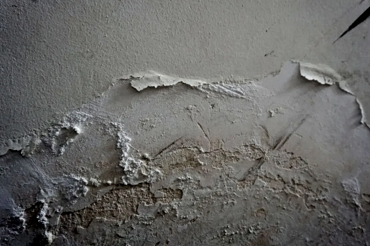 Nemli, küflenmiş ve kabarmış duvar görseli.